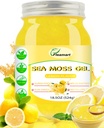 Irish Sea Moss Gel Raw 18.5OZ Natural Wildcrafted Seamoss Gel met 92 mineralen en vitaminen, gezonde spijsvertering, Non-GMO Project