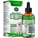 Natuurlijke Antibiotica voor Honden en Puppies 