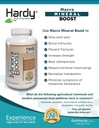 Macro Mineral Boost - High Intensity Calcium Supplement for Bone & Teeth Health with Vitamin C, D, K, Calcium, Fosfor en Magnesium, Ultra Absorbable