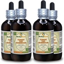 Turkey Tail Mushroom (Trametes Versicolor) Tinctuur, Gedroogde Paddestoel Liquid Extract (Grote Naam: HerbalTerra, Trots Made in USA) 4x4 fl.oz (4x120 ml)