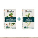 Himalaya Biologische Ashwagandha + Biologische Bacopa Brain Booster Kit, Ashwagandha 670 mg voor Energie Boost & Stress Relief + Bacopa 750mg Nootrope Brain Booster voor Mental Focus, Geheugen en Duidelijkheid