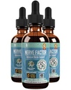 Rejuvica Health NerveFactor - Advanced Nerve Support Supplement - Liquid Delivery for Better Absorptie - Acetyl-L-Carnitine, Alpha Lipoic Acid, Vitamine B12, Folic Acid, White Willow Bark & Meer!