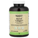 Vitacost ROOT2 BioCell Collageen met Hyaluronzuur -- 100 Milligram per portie - 240 capsules