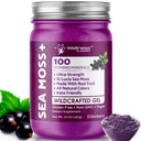 WELLNESS LABSRX Irish Sea Moss Gel Raw - Wildcrafted Superfood Seamoss Gel - Vlierbessensmaak, Vitamine en Mineral-Rich van Pristine Caribbean Waters, Immune en Digestive Health Ondersteuning - 10 oz.