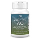 Mannatech Ambrotose AO 60 Capsules geladen met vitamine C en vitamine E. Helpt het lichaam tegen vrije radicalen. Glutenvrij, zuivelvrij en vegetarisch-vriendschappelijk Immune Support Supplement