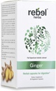 Rebel Kruiden Gember Capsules Krachtige Dual Extract, Non-GMO, Glutenvrij, Gemberwortel (Rhizome) Extract