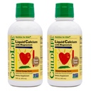 ChildLife Essentials Liquid Calcium Supplement voor kinderen - Baby Calcium met Magnesium, Zink en Vitamine D3 - Oranje smaak, 16 fl oz (2 Pack)