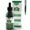 Chlorophyll Liquid Drops - 100% Natural Energy Booster and Immune Support - Internal Deodorant and Detox - Altitude Sickness Relief - Fast Absorption, Vegan & Non-GMO - 120 Servings (Pack of 1)