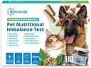 5Strands Pet Nutritional Imbalance Test, 112 Vitaminen & Minerals Tested, Thuis Hond & Cat Health Check for All Ages & Rass, Nutrition Deficiency Test, Resultaten in 4 Days
