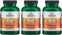 Swanson B6 Pyridoxine - Vitaminesupplement ter bevordering van cardiovasculaire gezondheid en energie Metabolisme - Natuurlijke formule ter bevordering van algehele wellness - (250 capsules, 100 mg elk) 3 verpakkingen