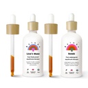Rainbo Brain Health Bundle, Lion's Mane Mushroom Extract + Reishi Mushroom Tinctuur, Dual Extract Dagelijkse Paddestoel Tincturen voor Uitgebreide Immune Ondersteuning, Vegan Liquid Mushroom Supplementen