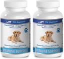 pet Immune Strengthener - Advanced Immune System Support - CHEWABLE - for Dogs - ashwagandha for Dogs - 2 Bottle (180 Chews)