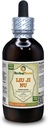 Liu Ji Nu, Artemesia (Artemisia Anomala) Tincture, Dried Herb Liquid Extract (Brand Name: HerbalTerra, Proudly Made in USA) 4 fl.oz (120 ml)