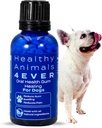 HA4E - Hond Oral Health Supplement - Verlicht ontsteking, kalmeert pijn en vecht Gum Ziekte - Natuurlijke, niet-GMO, biologische, glutenvrije en chemische vrij - 300 Tabletten