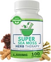 Sea Moss Capsules 100 Pack - Irish Sea Moss with Bladderwrack Powder & Burdock Root Powder - Keto & Alkaline Diet Support - No Fillers Seamoss Raw Supplement