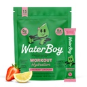 Waterboy workout hydratatie 2,960mg suikervrije elektrolyte poederverpakkingen 