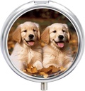 Medicine Box 3 Compartiment Pillendoos Leuke kleine pil Box Golden Retriever Honden Puppies Huisdieren Geprint Ronde pil Box Multi functie pil Box voor vitamines Visolie Supplementen Parels