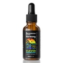 6 Blend Paddestoelen Liquid Extract, US Gegroeide Paddenstoelen Alcoholvrij, Natuurlijke Energie, Cognitieve Ondersteuning, Immuniteit Boost,100% Fruitlichamen, Leeuwen Mane, Cordyceps, Reishi, Chaga, Turkije Tail (1 fl oz)
