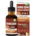 Dong Quai Liquid Supplement voor vrouwen, Angelica Sinensis Root Extract Tinctuur Ondersteuning Menopauze & PMS Relief, Hot Flashes, Herbal Blend Drops met Red Clover Fenegriek. 2oz