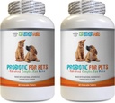 hondenprobiotische spijsverteringsenzymen - PET PROBIOTIC - HONGEN EN CATS - DIGESTIVE BOOST - GET RID VAN BAD BREATH EN STOP DIARRHEA - lactobacillus speekselrius probiotic - 2 flessen (120 Treats)