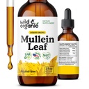 Wild & Organic Mullein Drops for Longs - Long Detox and Cleanse - Liquid Mullein Leaf Tinctuur met Echinacea & Licorice Root - Vegan, Sugar & Alcohol-Free Extract Supplement - 2 fl oz