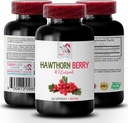 Hawthorn bessen extract capsules - HAWTHORN BERRIES EXTRACT - bessen extract poeder, wilde bessen energie, hawthorn energie pillen, hawthorn bessen tinctuur, antioxidanten supplement voor vrouwen 1 Bot 60 Caps
