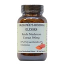 Barlowe's Herbal Elixirs Reishi Mushroom Extract Supplement 