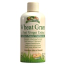 Garden Greens Tarwegras vloeibaar met Real Gember Extract, Natuur's Perfect Superfood, 32 porties