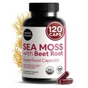 Atlantic Naturals Sea Moss with Beet Root Capsules - Premium Quality Multivitamine Supplement - Sea Moss Superfood to Support Immune Health, Blood Flow, Joint Health & Athletic Performance - 120 ct