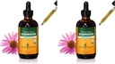 Herb Pharm Certified Organic Echinacea Root Liquid Extract for Immuun System Support, Organic Cane Alcohol, 4 Ounce (Pack of 2)
