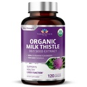 Organische melkdistel Niet GGO 2000mg 4X Geconcentreerde Vegan Dagelijkse Supplement w/Silymarin Zaad Extract voor leverondersteuning, detox en reiniging - 60 Veggie Capsules