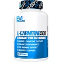 EVL L-Carnitine supplement voor gewichtsverlies ondersteuning - L Carnitinetartraat voor cellulair energie Focus Endurance en vetbrandende ondersteuning - Stimulerend vrij Aminozuur voor vet Metabolisme (120 porties)