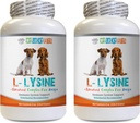 Bot en Joint Health for Dogs - Honden LYSINE Powder - Pure Powder Form - Immuun System Support - Vet Aanbevolen - lysine Bulk - 2 Fles (16oz 453,6 Gram)
