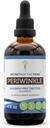 Geheimen van de Tribe Periwinkle Alcoholvrije Liquid Extract, Periwinkle (Vinca Major) Gedroogde Herb Tinctuur Supplement (4 FL OZ)