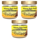 Salcoll Collageen - 100% Natural Bioactive Marine Collageen Powder - Unflavored, Kosher, kan helpen Bone, Joint, Skin, Hair Health, 3 Pack, Drie maanden Supply