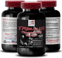 Natuurlijke uithoudingsvermogen Boost - TRIBULUS TERRESTRIS Extract - Sterkte en activiteit ondersteuning, energie-optimalisatie formule, plantaardige kracht, lichaam prestaties mengen, actief herstel, energiestroom 1Bot 90Tabs