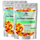 Sea Moss Gummies – with Bladderwrack & Burdock Root – Wildcrafted Gel + Powder – Vegan, Keto, Non-GMO, Gluten-Free – Fruity Mineral-Rich Gummies – 50 Count (2 Pack)