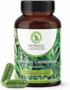 Moringa Premium 100% Pure Powder Capsules - Vegan, GGO Free, Green Superfood, Bevat Calcium, Magnesium, Vitamine C, Vitamine B3, Vitamine A, Antioxidanten - Energie, Metabolisme, Immune Support -120 st.