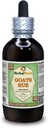 Goat's Rue (Galega officinalis) Glyceriet, biologisch gedroogd kruiden Alcoholvrij vloeibaar extract (Grote naam: HerbalTerra, Trots gemaakt in USA) 4 fl.oz (120 ml)