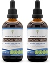Geheimen van de stam Chanca Piedra Alcoholvrije Tinctuur Extract, Chanca Piedra (Phylanthus niruri) Gedroogde Herb Tinctuur Supplement (2x4 FL OZ)