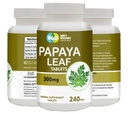 Papaya Leaf Extract Capsules (tabletten) - 500 mg 240 pillen, ondersteunt bloedplaatjes Immuniteit en spijsvertering - 60 dagen levering