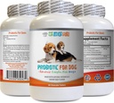 probiotica voor honden kauwen - Honden PROBIOTICS - Bad Breath and Passing Gas Solution - Oral Health - Fos Formula - 1 Fles (60 Treats)