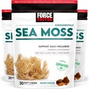 FORCE FACTOR Sea Moss Zachte Kauwen, Ondersteuning Immuniteit, Digestie, en Hart Gezondheid, Ierse Zee Mos Superfood & Antioxidanten Supplement, Non-GMO, Glutenvrije, Gezouten Karamel smaak, 90 Zachte Kauwen, 3-pack