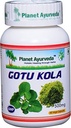 Planeet Ayurveda Gotu Kola, 500mg Veg Capsules-enkele fles