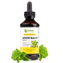 Maxx Herb Lemon Balsem Extract - Max Sterkte Liquid Tinctuur Absorbeert beter dan capsules of thee, voor ondersteuning van het zenuwstelsel, & Stress Management - Alcoholvrij - 4 Oz Fles (60 porties)