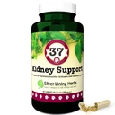 Silver Lining 37 Hond Nierondersteuning - Herbal Hondensupplement - Natuurlijke ondersteuning Blend voor normale nier- en blaasfunctie - 90 capsules