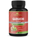 Organische Giloy Guduchi Extract Capsules & Ashwagandha, Licorice, Holy Basil