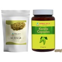 HERBAL HILLS Gurmar Theepoeder en Karela Capsules Verpakking van 2 Combo