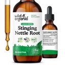 Wild & Organic Stingling Nettle Root Drops - Stinging Nettle Extract Tinctuur voor mannen & vrouwen - Liquid Urtica Dioica Supplement - Vegan, Sugar & Alcohol-Free - 2 floz