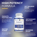 Onderzoek Verified Paraset - 120 Capsules - Natural Gut Health Enhancer - Knoflookbol, Papain, Sweet Wormwood, Black Walnut, BioPerine - Vegan